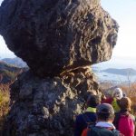 裏山道の松茸岩
