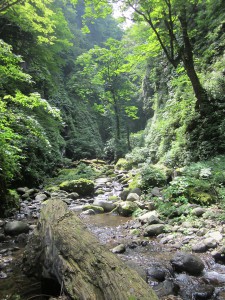 河原の降り立つ