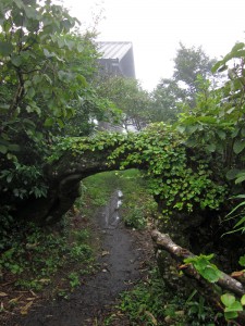 頂上避難小屋