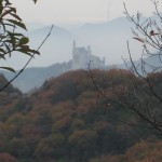 紅葉の向こうに太陽広場