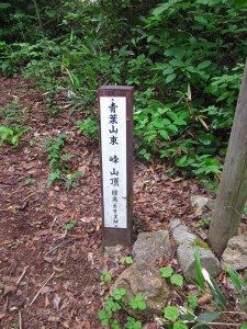 青葉山山頂