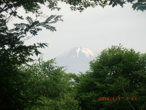 乙女峠から見た富士山