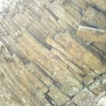 安山岩の柱状節理・材木石