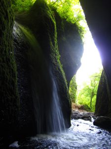 シワガラの滝