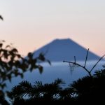 雲海に浮かぶ富士山 