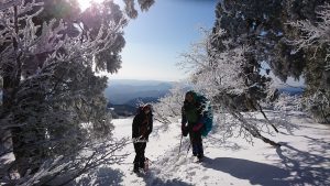 ８氷ノ山