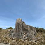 フトウガ峰手前の開けた所にぽつんと立つ岩