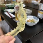 桧枝岐の宿で食べたサンショウウオの天ぷら