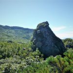 蛇紋岩のガマ岩